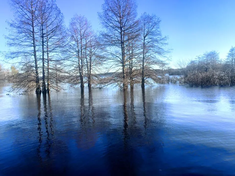 Photograph from the Facebook post “Toledo Bend at Carrice Creek, earlier this week.”