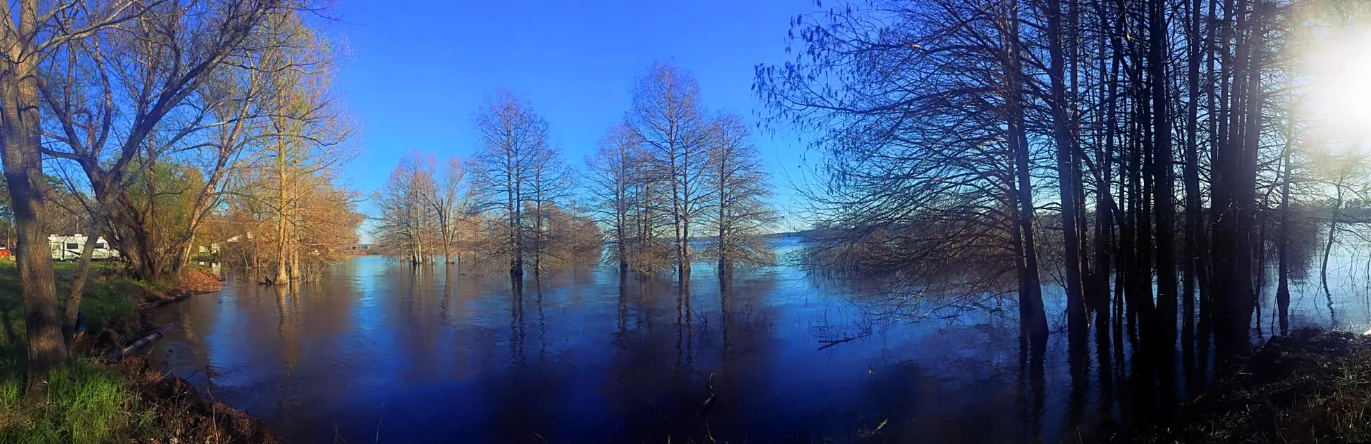 Photograph from the Facebook post “Toledo Bend at Carrice Creek on Texas side.”