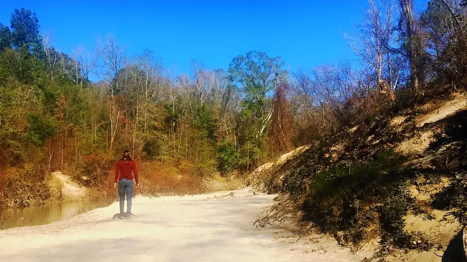 Photograph from the Facebook post “My daughter walking on he beautiful "beach" of Toro Bayou which is located in and in…”