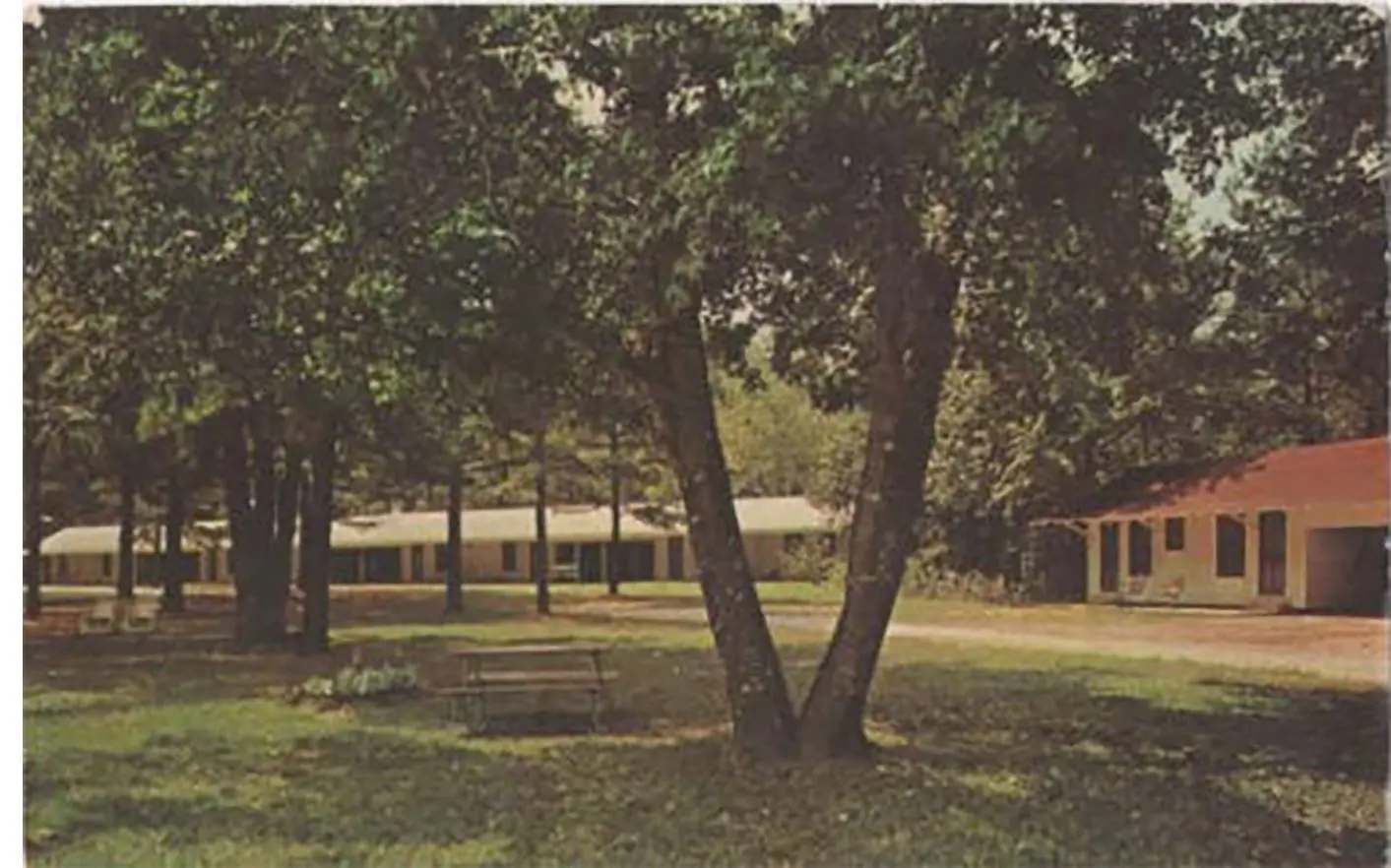 Photograph from the Facebook post “Field Courts Motel Tenaha Texas TX Postcard Highway 96 & 84”