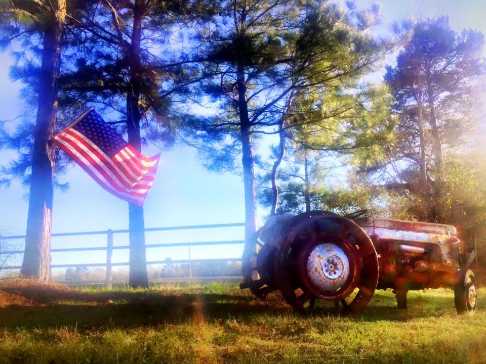 Photograph from the Facebook post “Rural America Raw In Bethany, Louisiana.”