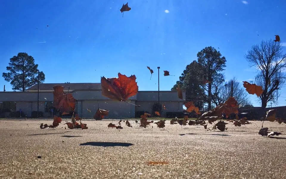 Photograph from the Facebook post “While working at All Hours Fitness' brand new location in Natchitoches today, my husband…”