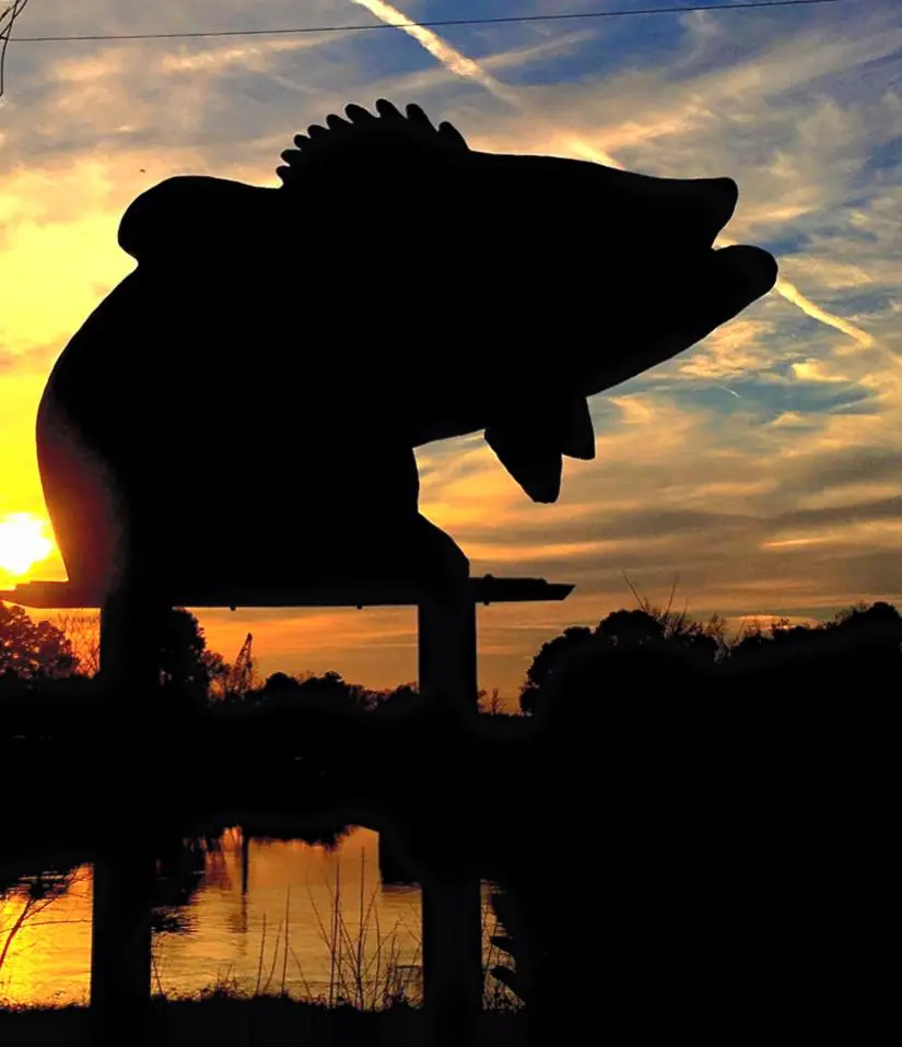 Photograph from the Facebook post “Logansport, just now.”