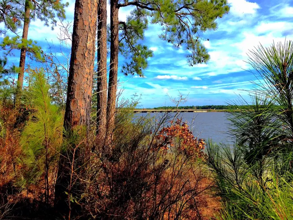 Photograph from the Facebook post “On Toledo Bend today.”