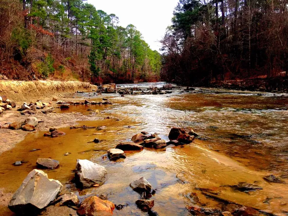 Photograph from the Facebook post “Kisatchie Bayou.”