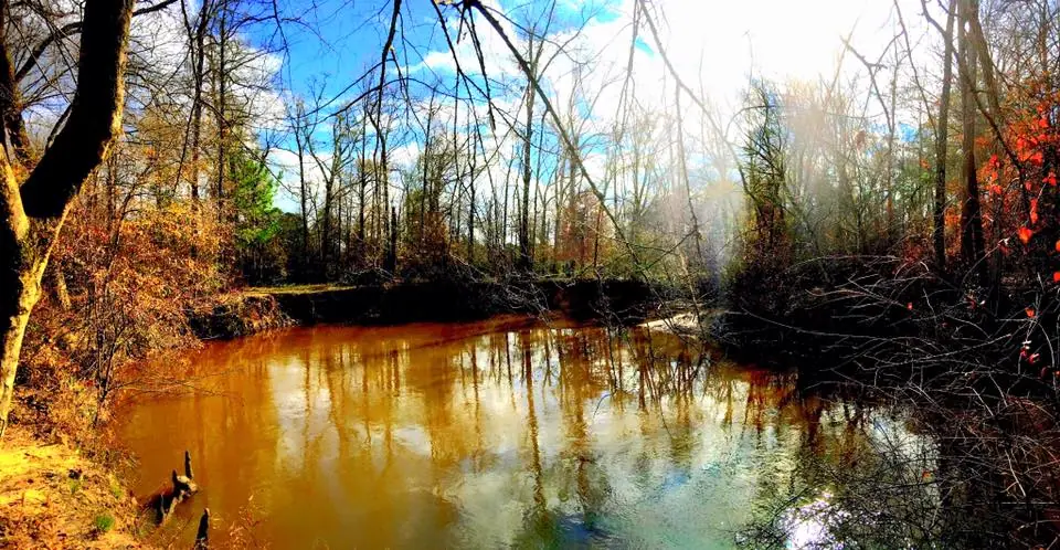 Photograph from the Facebook post “One of the bends in Big Cow Creek.”