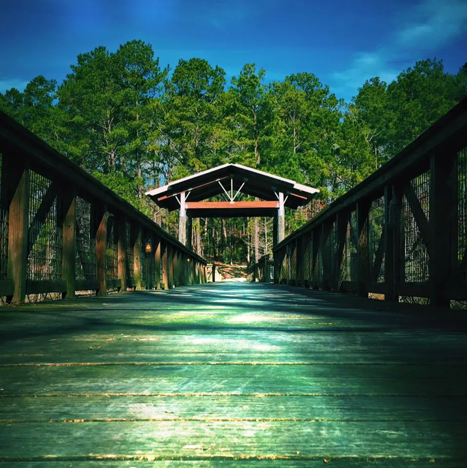 Photograph from the Facebook post “At South Toledo Bend State Park.”