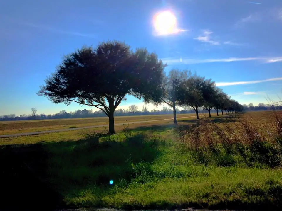 Photograph from the Facebook post “Took these photos this past Saturday...”