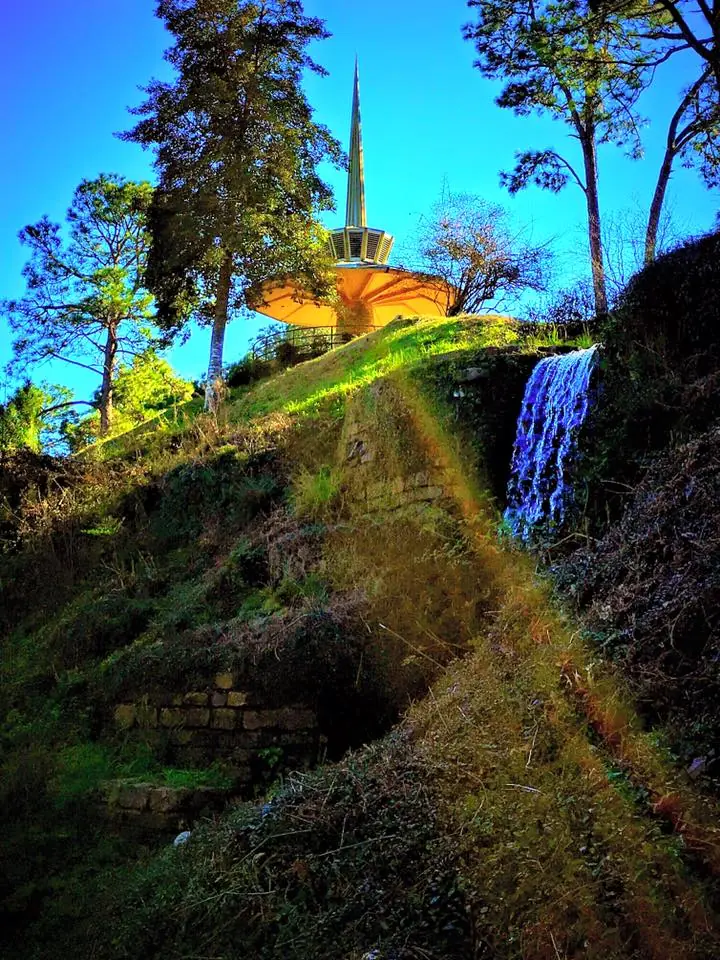Photograph from the Facebook post “A couple at Hodges Gardens State Park this past weekend.”