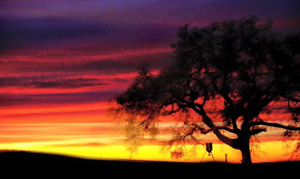 Photograph from the Facebook post “Sunset at Hodges Gardens State Park.”