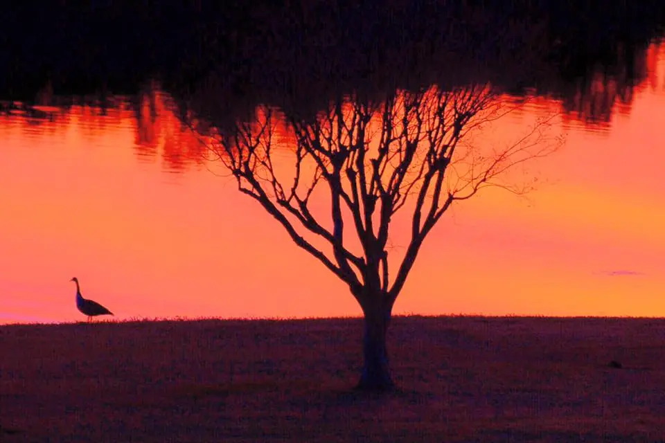 Photograph from the Facebook post “Winter sun set.”