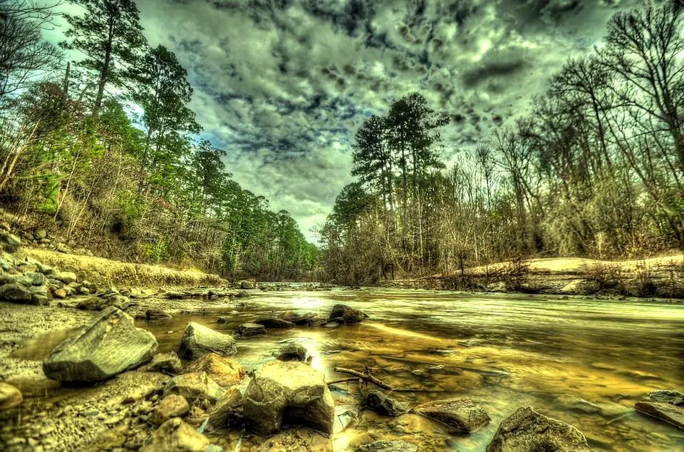 Photograph from the Facebook post “Kisatchie Creek in Kisatchie National Forest, Natchitoches Parish.”