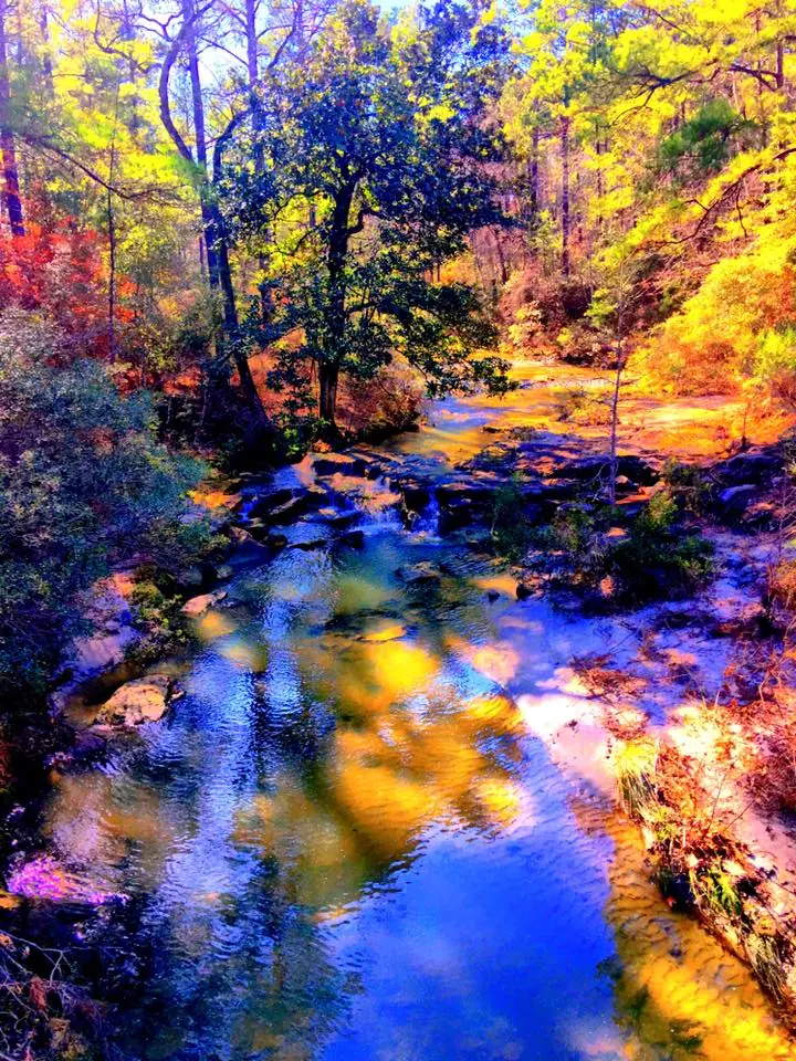 Photograph from the Facebook post “Colors :) Used three filters on the camera end to bring out the actual colors that were…”