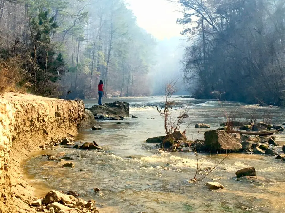Photograph from the Facebook post “Kisatchie National Forest”