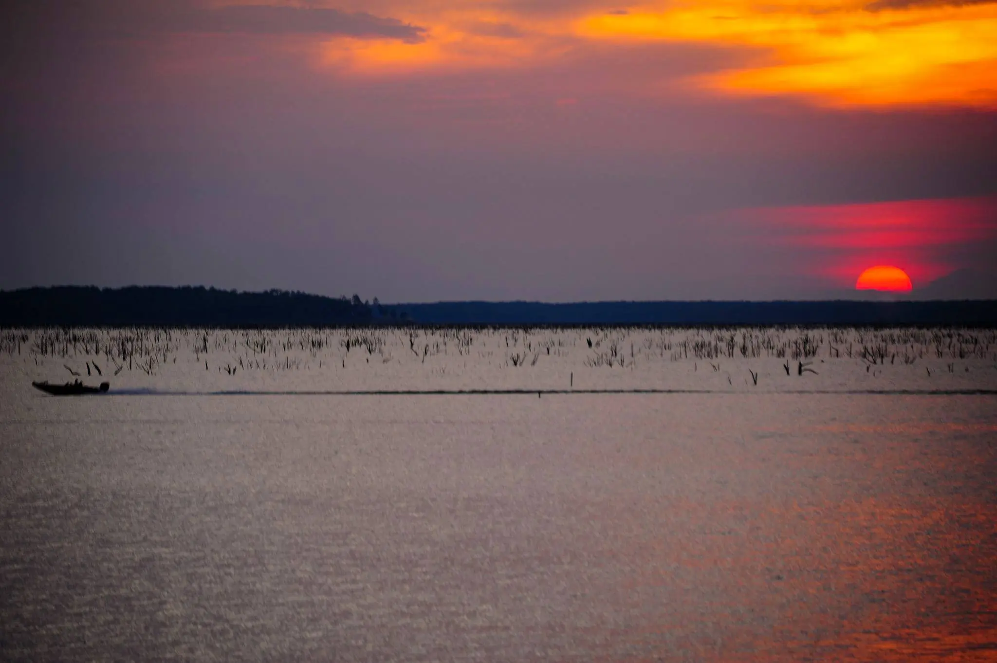 Photograph from the Facebook post “A couple of photos I took on Toledo Bend Lake (South Toledo Bend) in 2012, when the…”