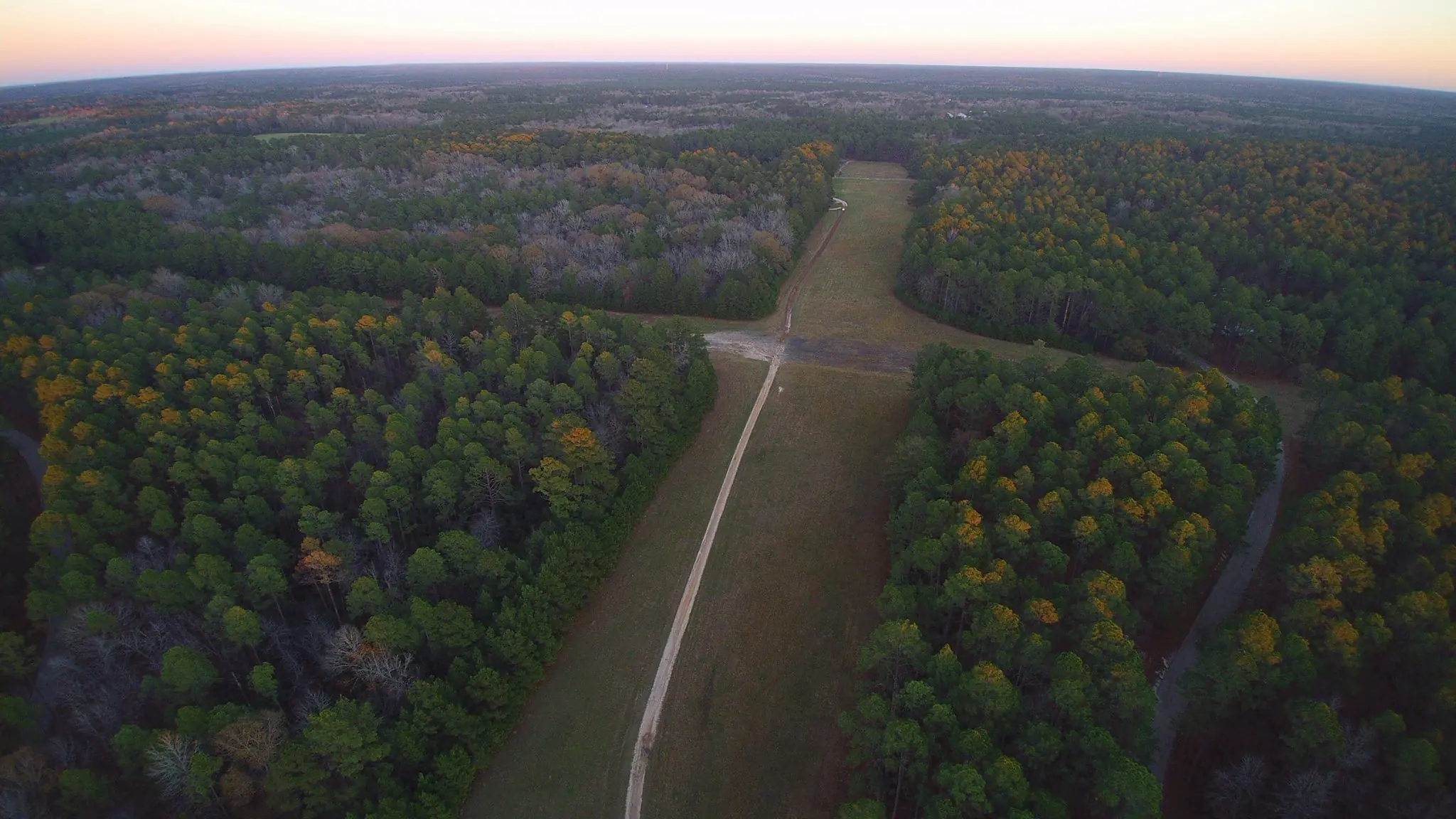 Photograph from the Facebook post “Looking down towards the old air strip at Hodges Gardens State Park in Sabine Parish,…”