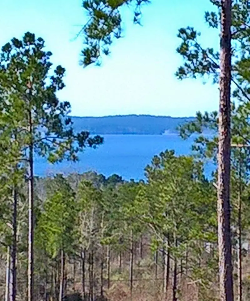 Photograph from the Facebook post “Shared by Kevin Brister, This photo was taken today from a hill top above pleasure…”