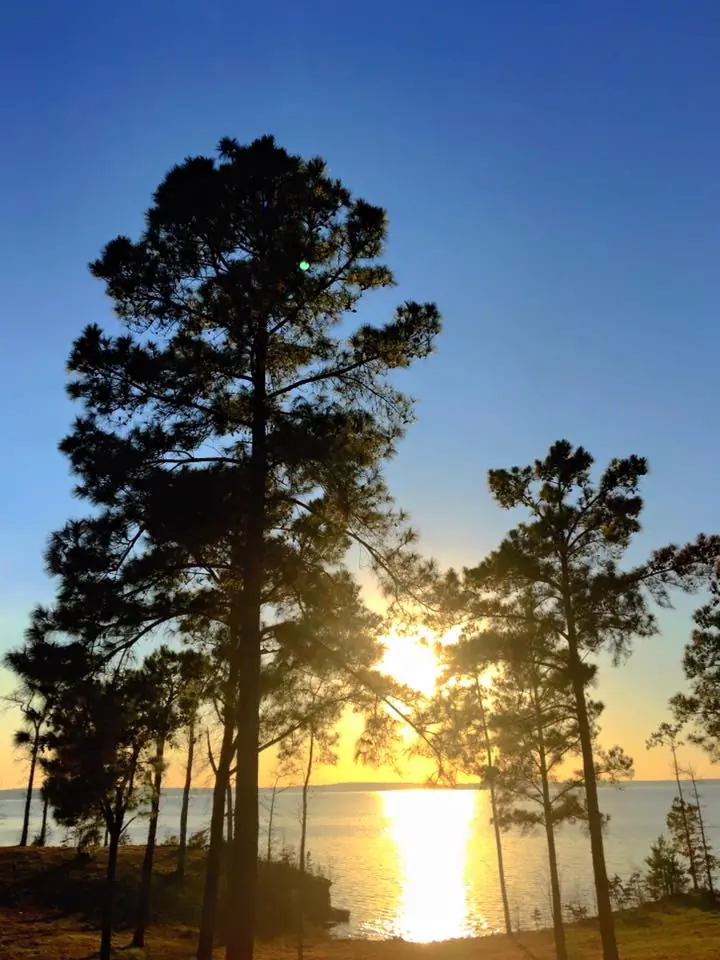 Photograph from the Facebook post “A bit before sun set this evening, near Cypress Bend”