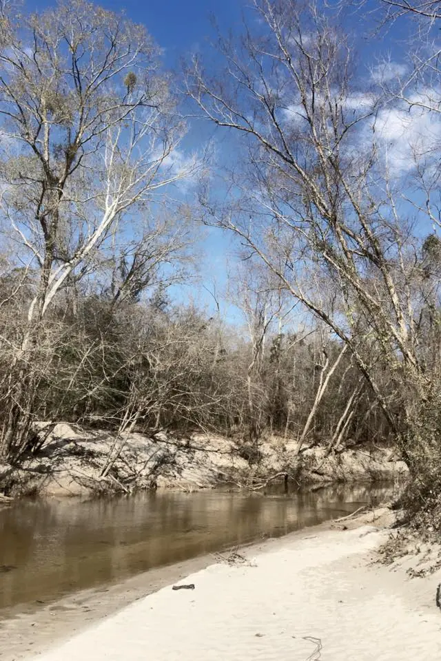 Photograph from the Facebook post “Toro Creek.”