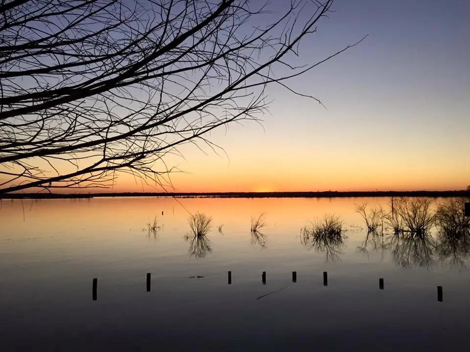 Photograph from the Facebook post “Shared by Micah Chandler, taken on Toledo Bend at Circle Drive Landing”