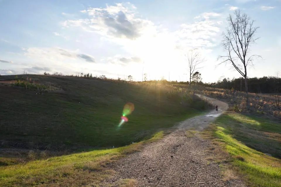 Photograph from the Facebook post “Along roadway in Sabine Parish, Louisiana”