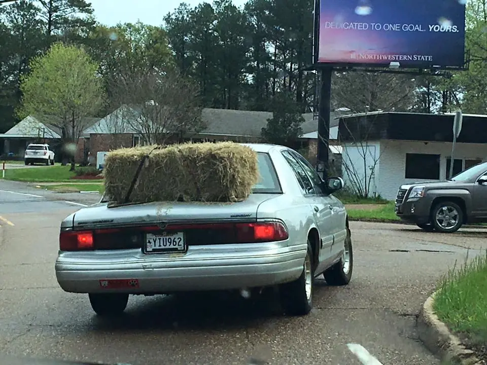 Photograph from the Facebook post “Driving along in their automobile...”
