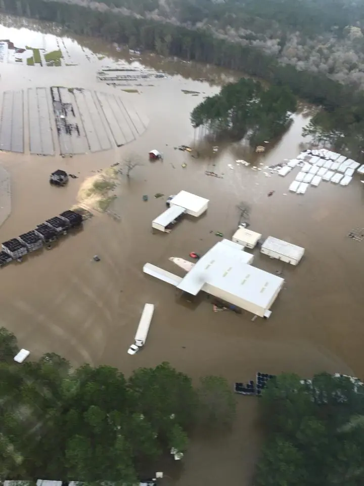 Photograph from the Facebook post “Photo below: from The Lake Charles American Press, The International Forest Company…”