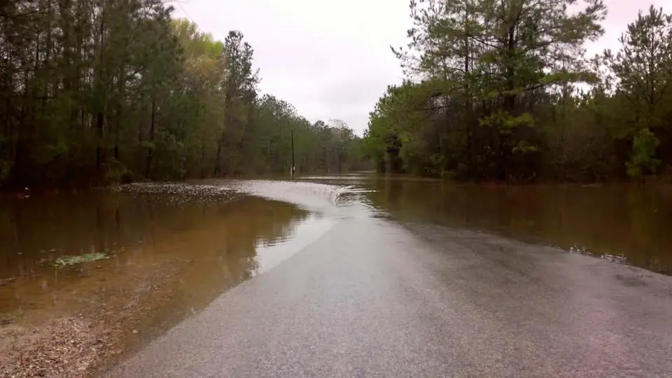 Photograph from the Facebook post “Anacoco Creek in Vernon Parish.”