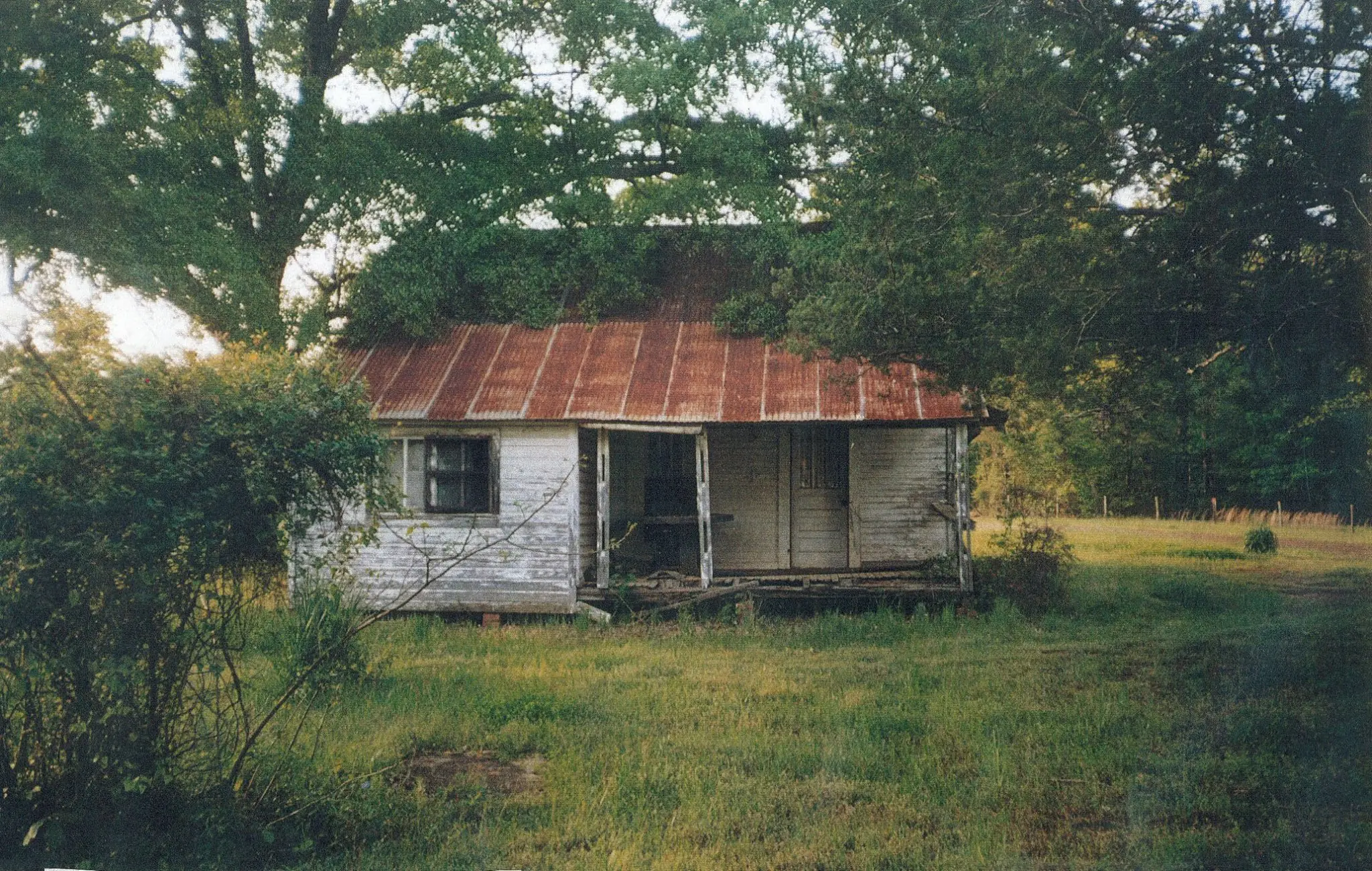 Photograph from the Facebook post “This is the Leone farm at Bayou Scie, near Zwolle, Louisiana (Sabine Parish).”