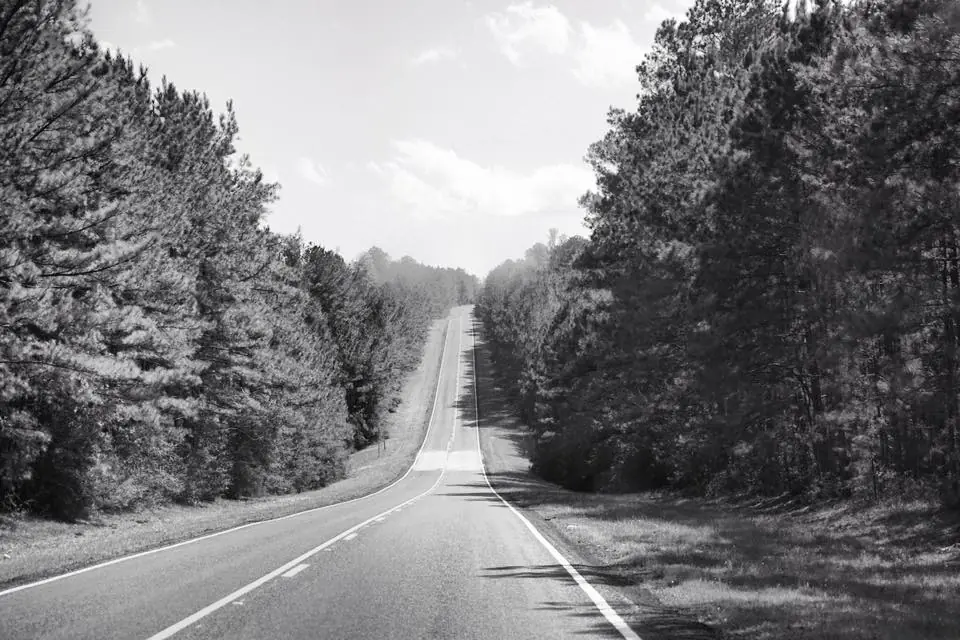 Photograph from the Facebook post “"Scenic Highway" aka Louisiana Highway 191 along Toledo Bend Reservoir.”