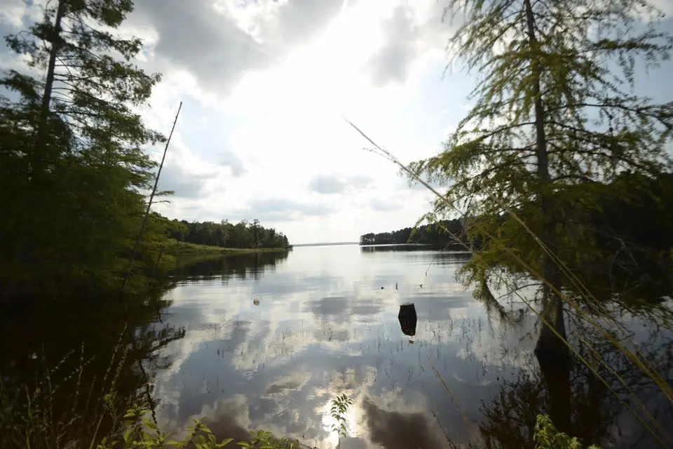 Photograph from the Facebook post “A cove on Toledo Bend, near Cypress Bend area.”