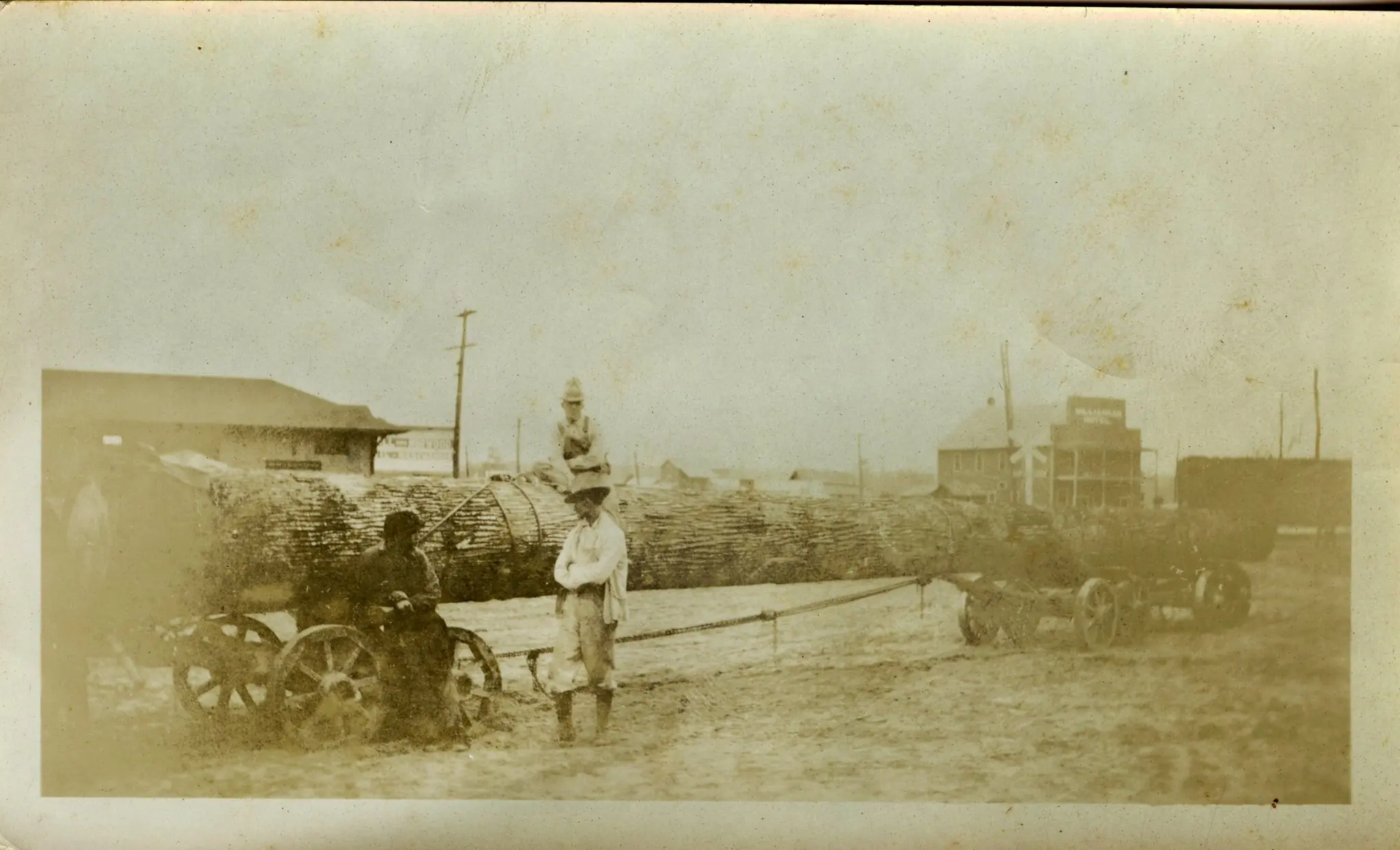 Photograph from the Facebook post “Log being hauled through Zwolle, Louisiana (Sabine Parish) in early 1900s.”