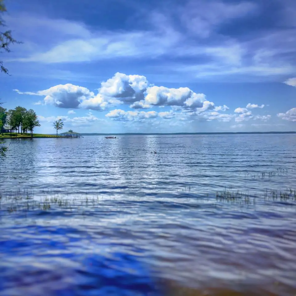 Photograph from the Facebook post “Toledo Bend Lake, Louisiana side”