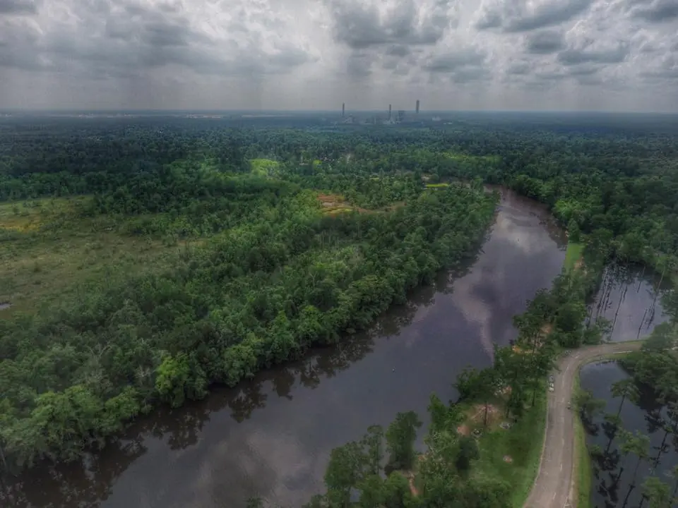 Photograph from the Facebook post “Photo we took a few days ago from Sam Houston Jones State Park in Moss Bluff, Louisiana…”