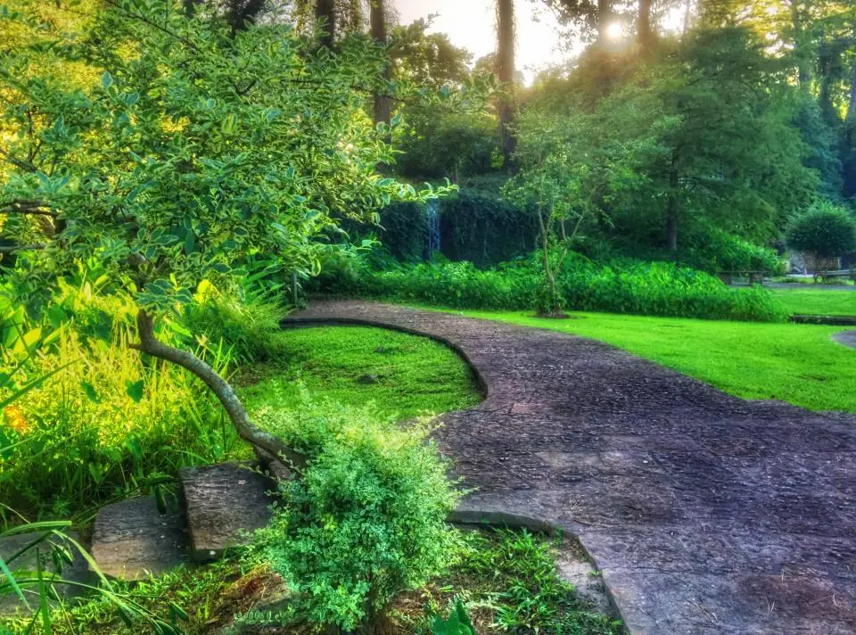 Photograph from the Facebook post “Hodges Gardens will stay open!”