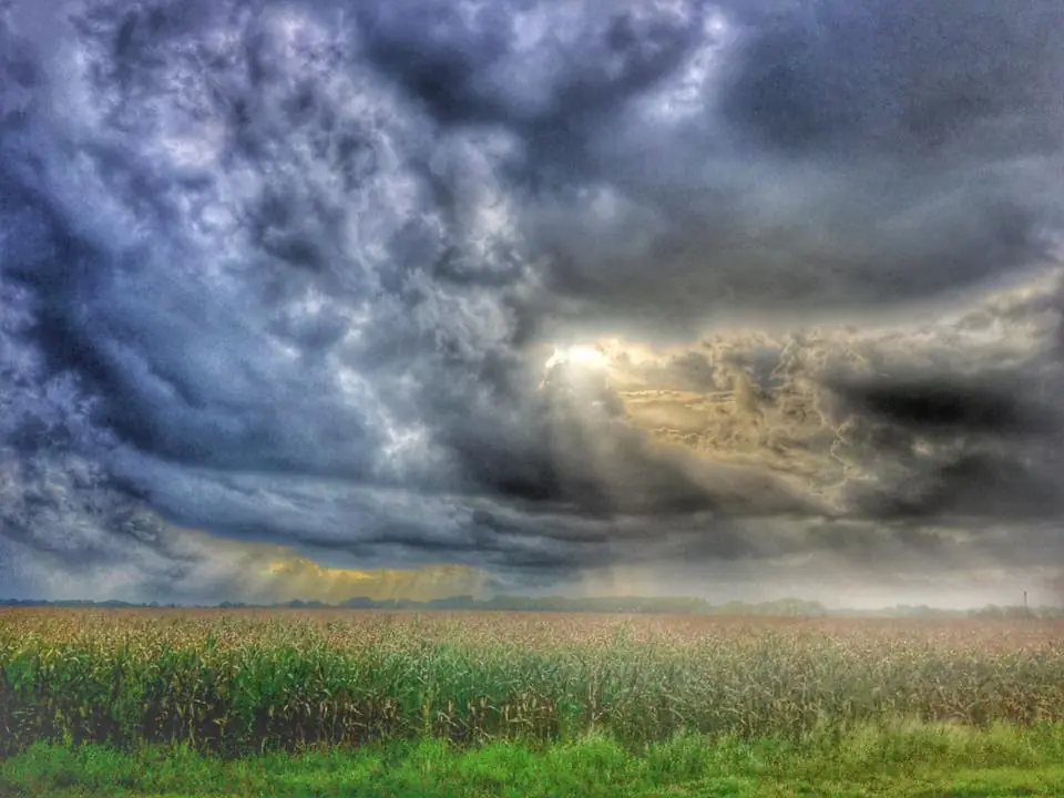 Photograph from the Facebook post “Cool weather this afternoon...”