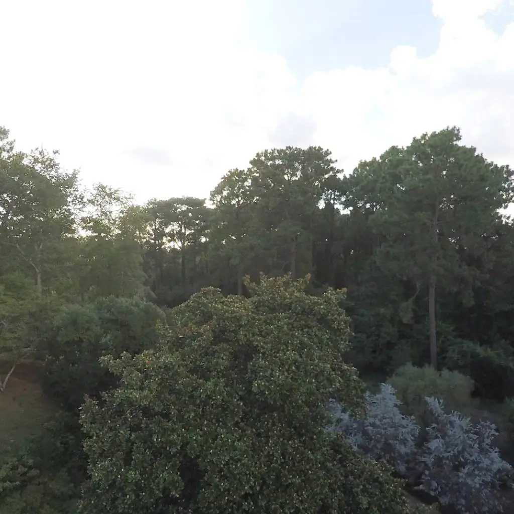 Photograph from the Facebook post “Another pano of Hodges Gardens, in Sabine Parish, Louisiana.”