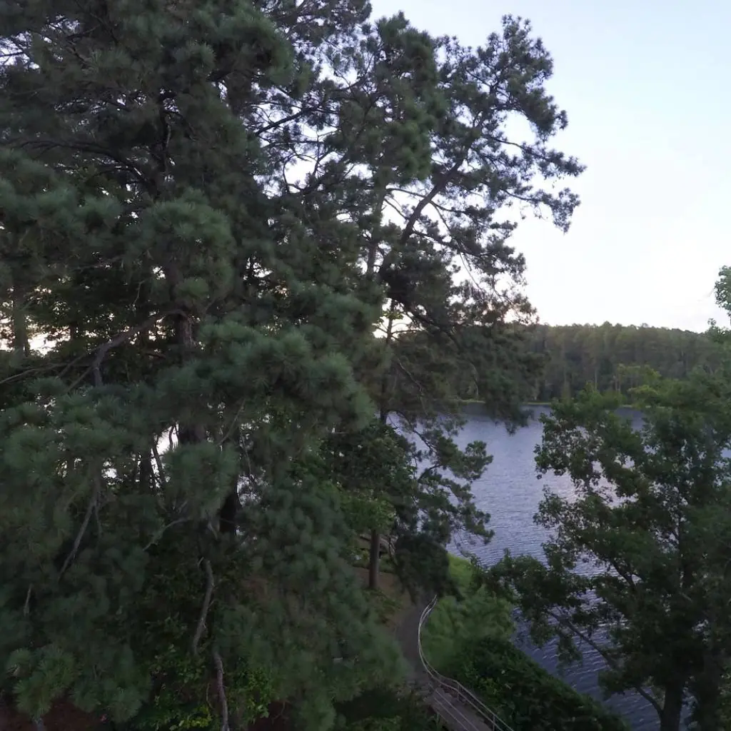 Photograph from the Facebook post “Hodges Gardens State Park, Louisiana.”
