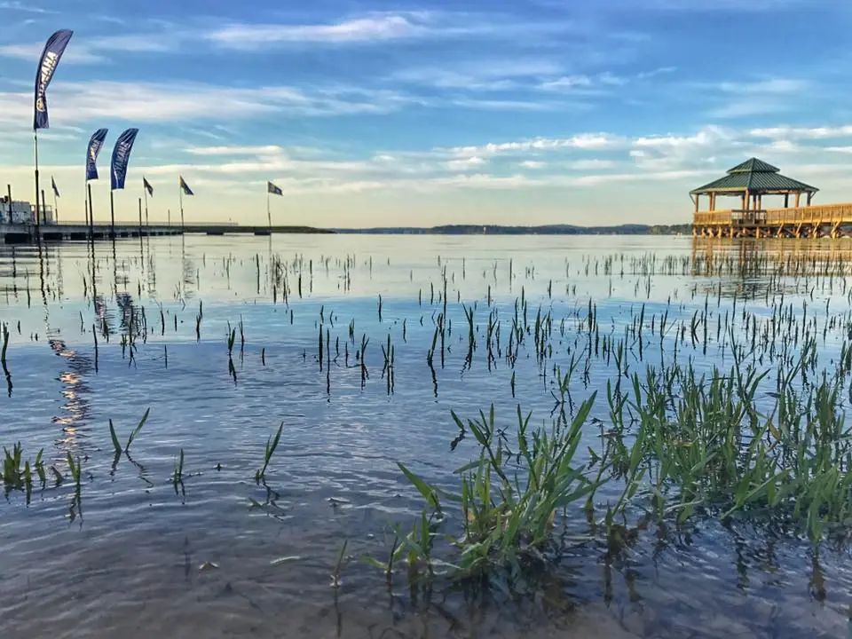 Photograph from the Facebook post “Toledo Bend Lake this morning, out of SRA Cypress Bend Park”