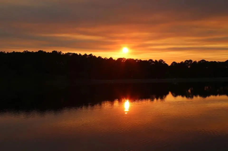 Photograph from the Facebook post “Lake Charles resident Jeff Wakefield is one of many who want Hodges Gardens State Park…”