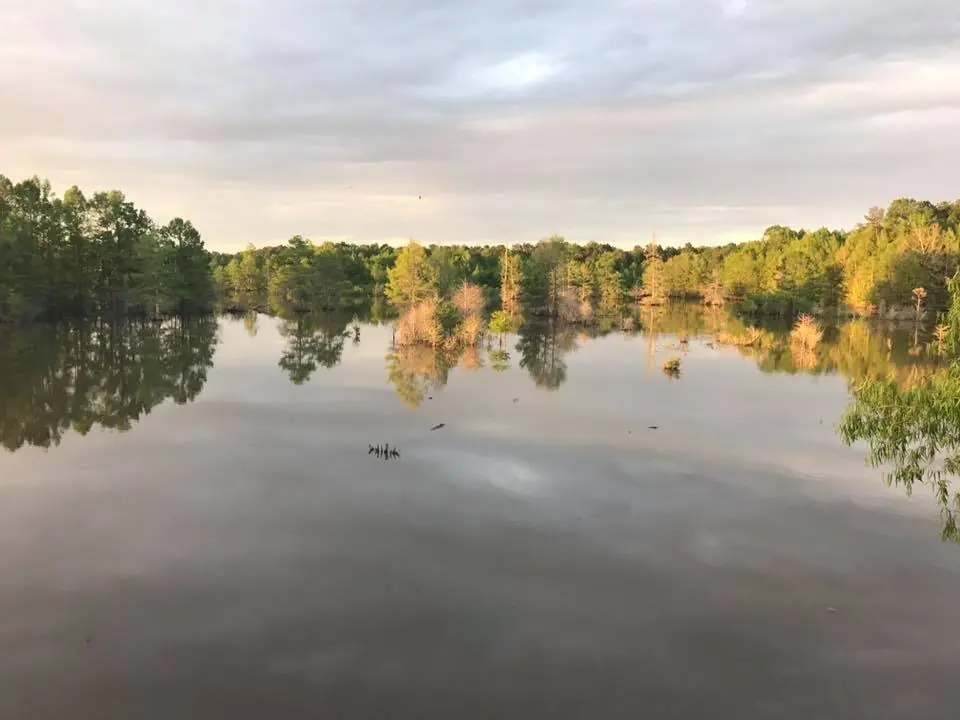 Photograph from the Facebook post “Vernon Lake in Vernon Parish, Louisiana.”