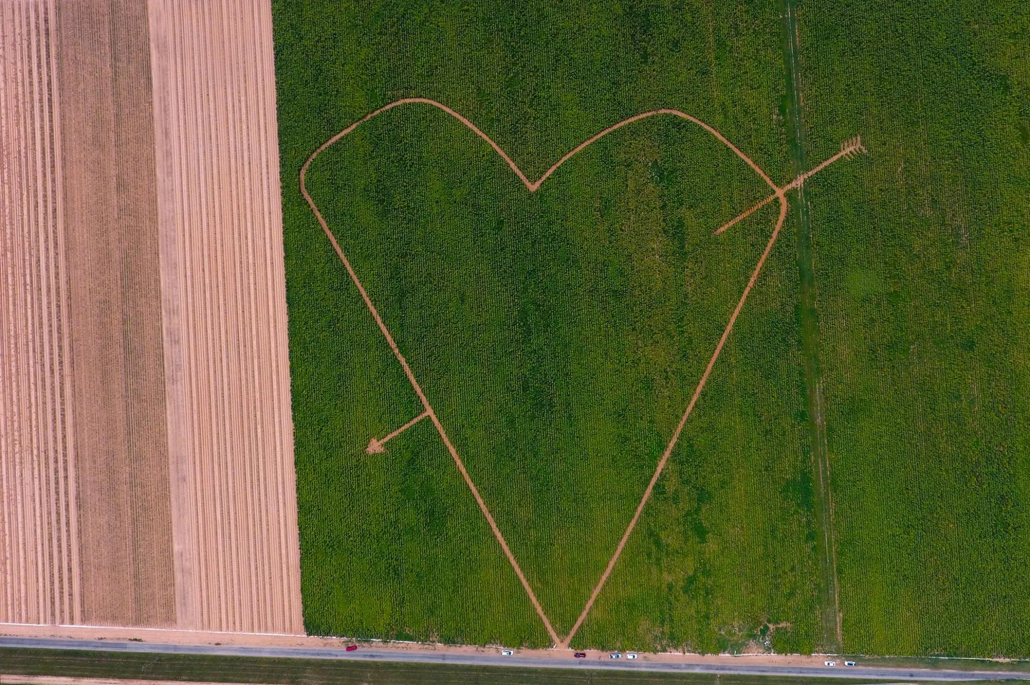 Photograph from the Facebook post “From the air...”