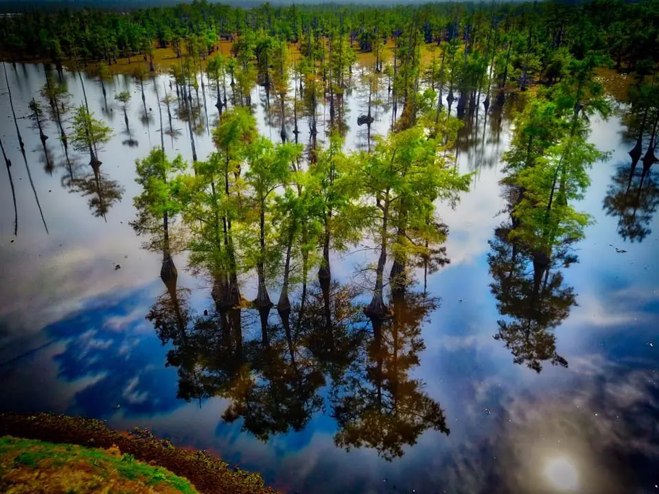 Photograph from the Facebook post “Black Lake.”