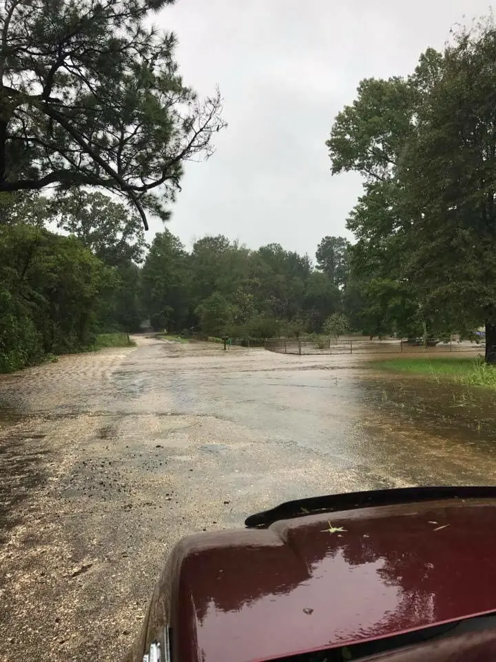 Photograph from the Facebook post “Pump Station Road between Fisher and Many, Louisiana in Sabine Parish.”