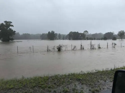 Photograph from the Facebook post “Murphy's pasture in Many, La.”