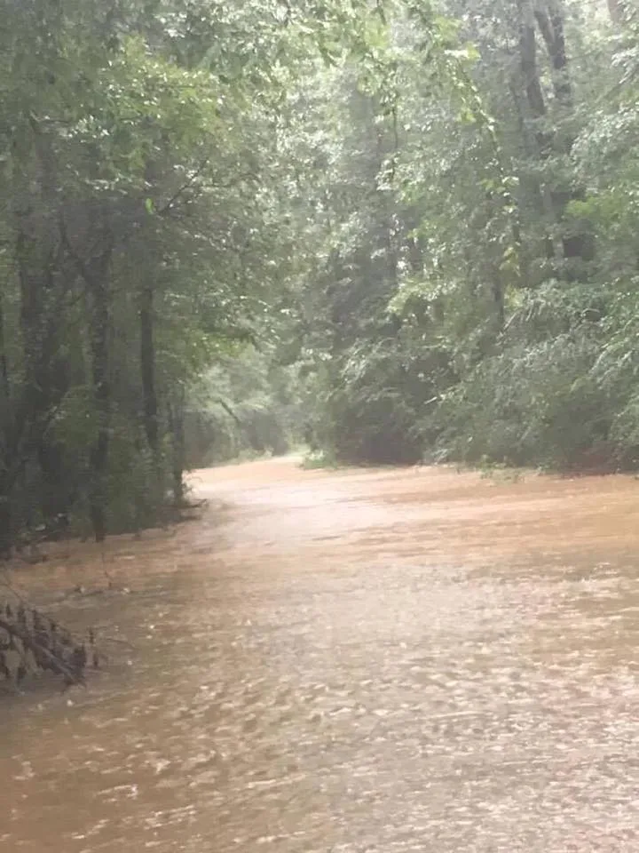 Take on a rural road near Moffet Lane between Pleasant Hill and Belmont.