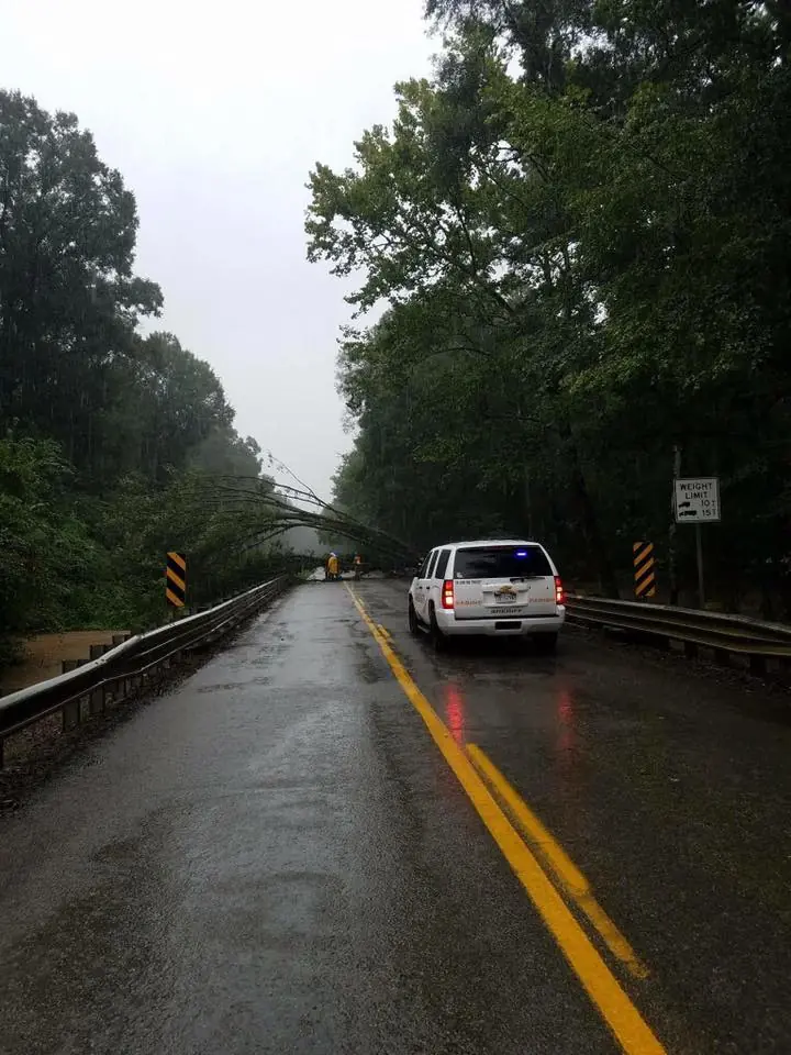 Photograph from the Facebook post “Tree across the road on Hwy.”