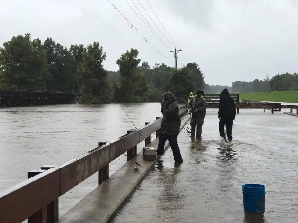 Photograph from the Facebook post “The fishing is quite good, they say.”