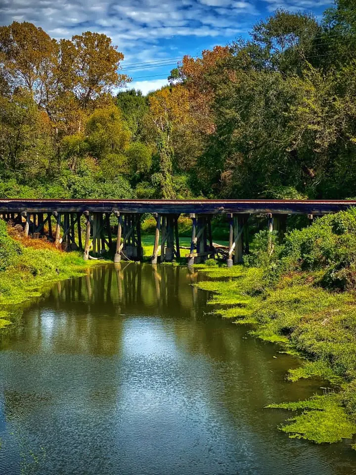 Photograph from the Facebook post “Bayou Castor In Vernon Parish...”