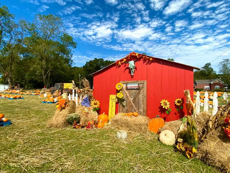 Photograph from the Facebook post “DeRidder, Louisiana (Beauregard Parish)”